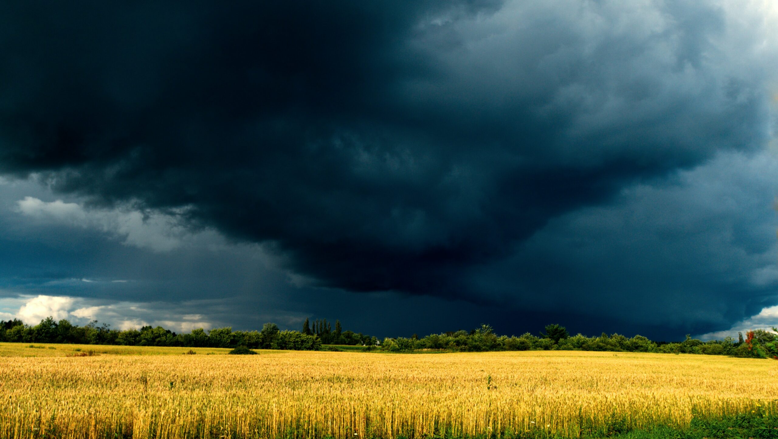 Texas Tornados