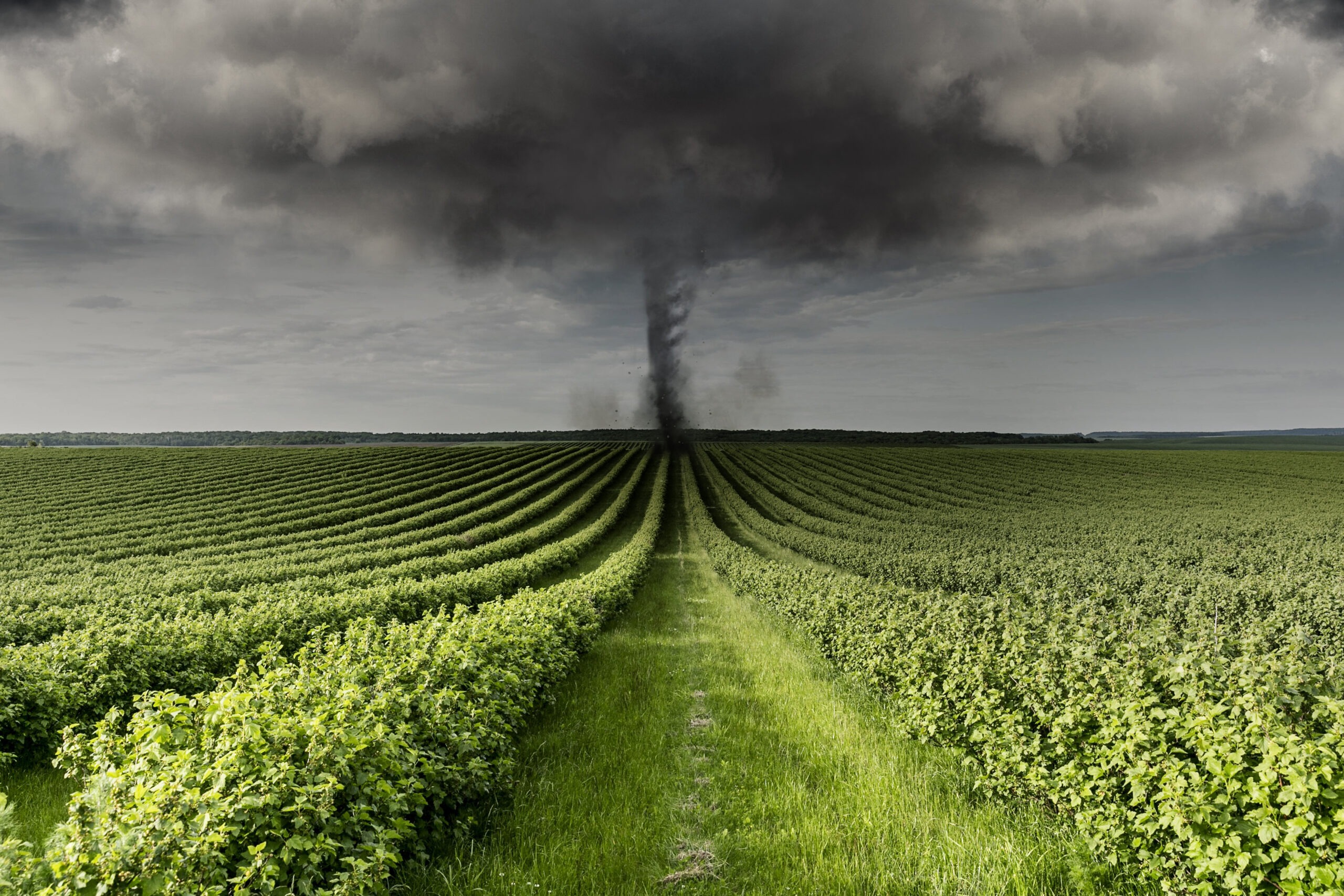 tornado shelter